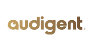 audigent logo