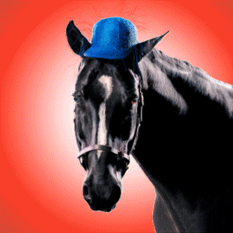 A horse wearing a small hat in front of a background that's changing colors, likely generated by AI.